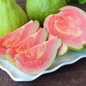Giống Cây Ổi Ruột Đỏ