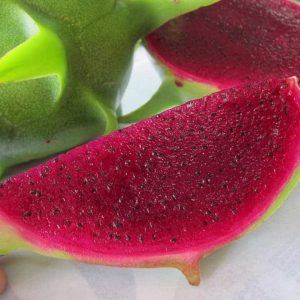 Giống Cây Thnah Long Da Xanh Ruột Đỏ